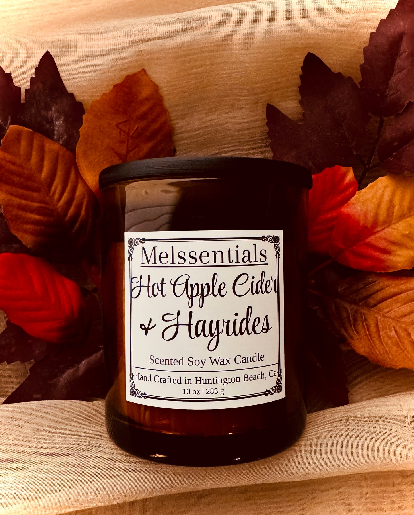 Hot Apple Cider & Hayrides